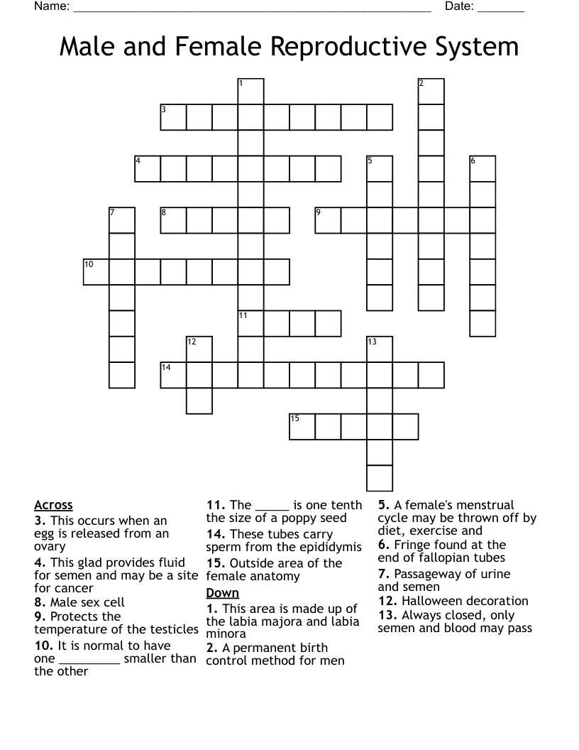 Male and Female Reproductive System Crossword