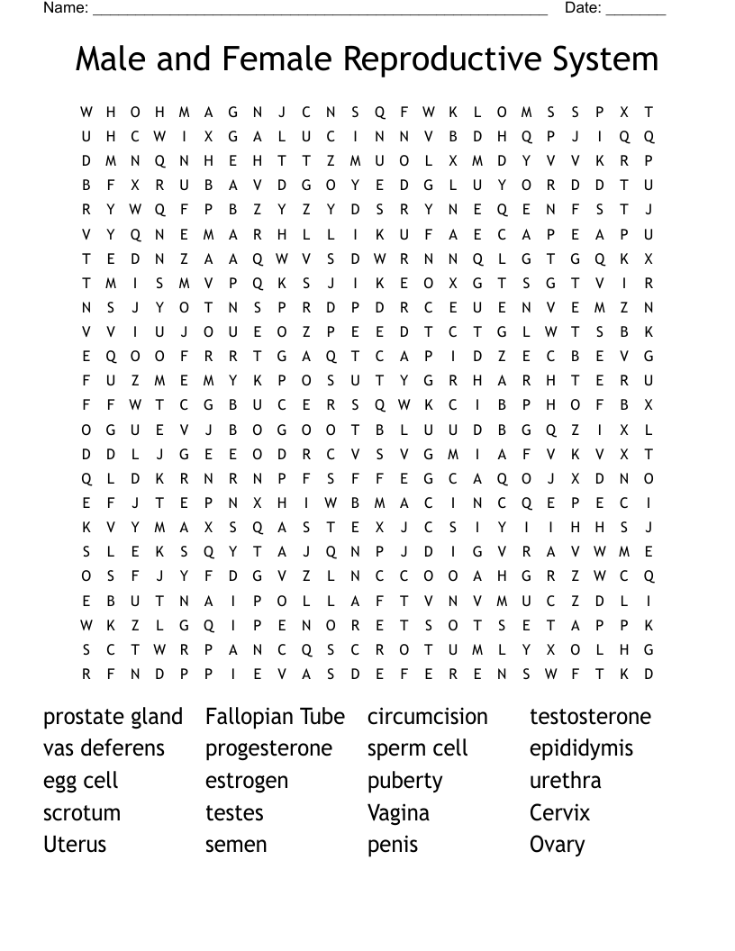 Male and Female Reproductive System Word Search
