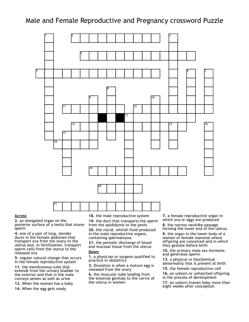 Male and Female Reproductive and Pregnancy crossword Puzzle