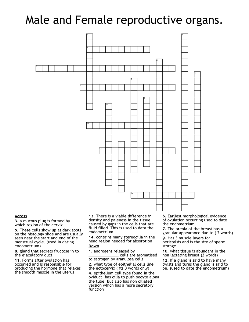 Male and Female reproductive organs. Crossword