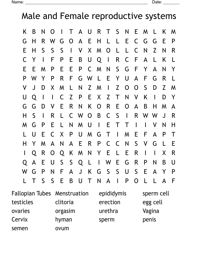 Male and Female reproductive systems  Word Search