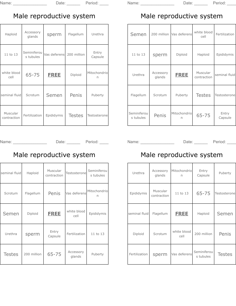 Male reproductive system Bingo Cards