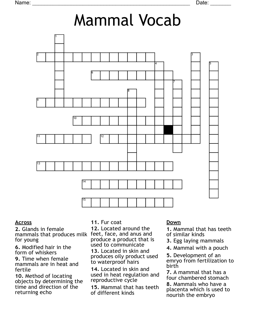 Mammal Vocab Crossword
