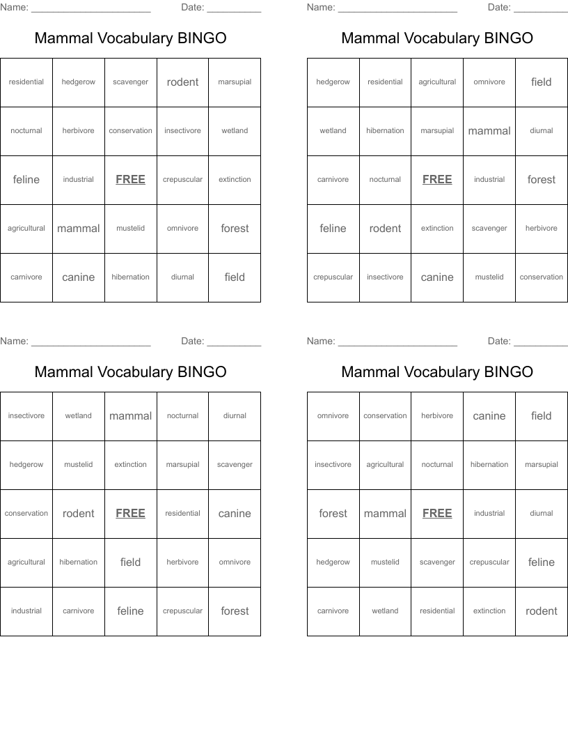 Mammal Vocabulary BINGO