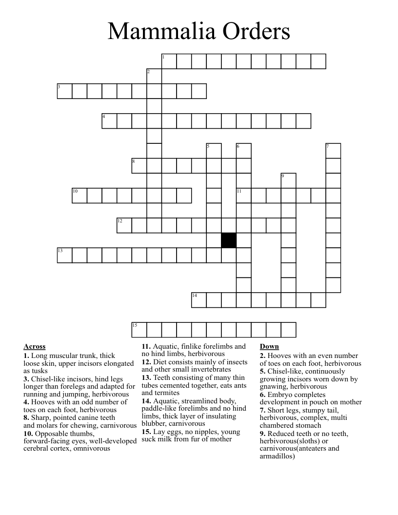 Mammalia Orders Crossword