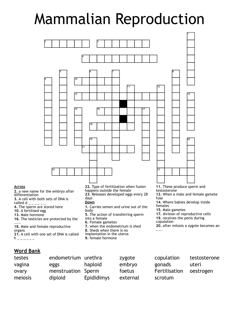Mammalian Reproduction Crossword