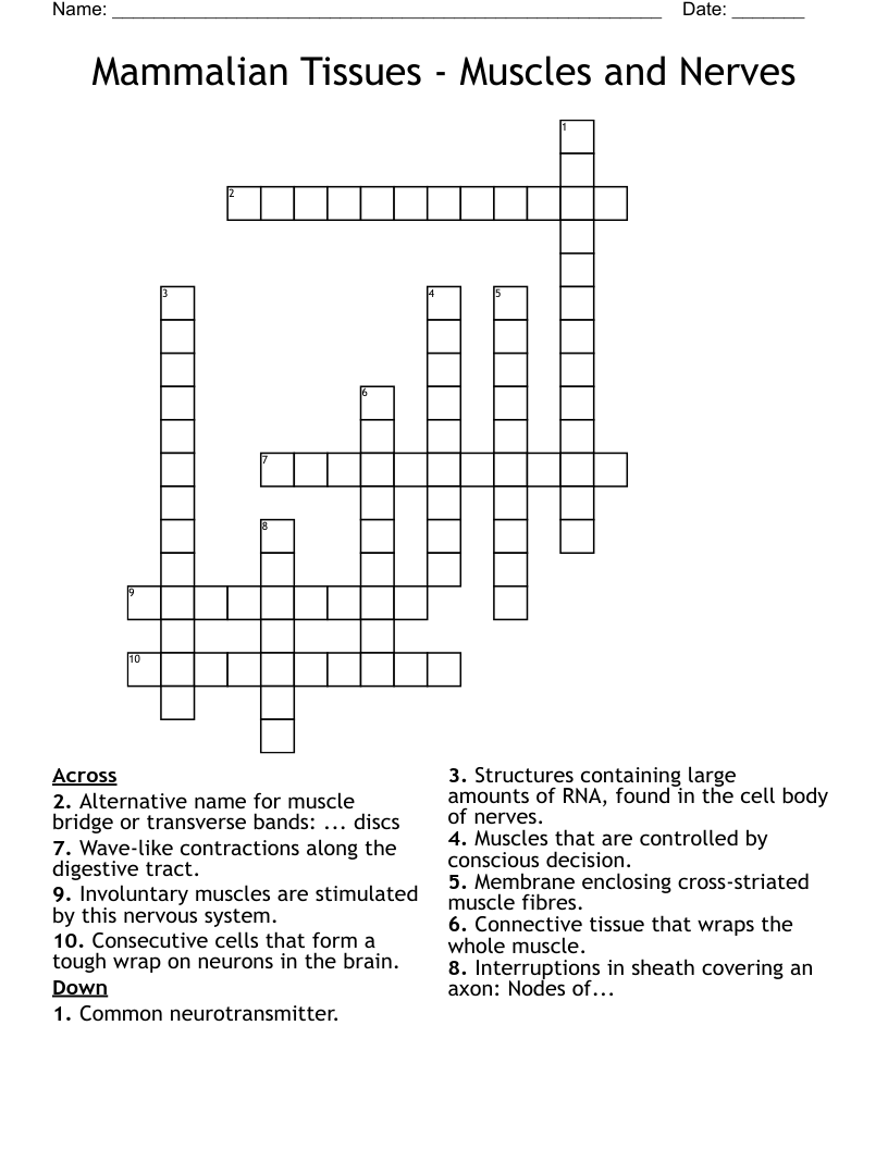 Mammalian Tissues - Muscles and Nerves Crossword