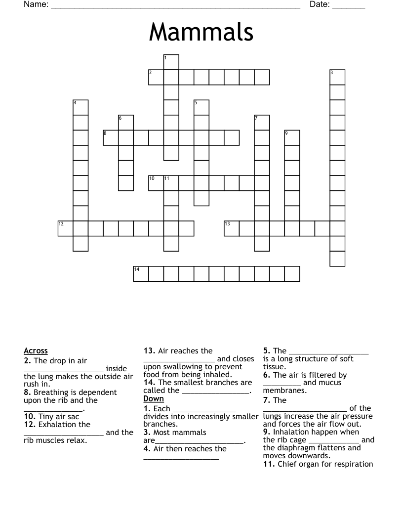 Mammals Crossword