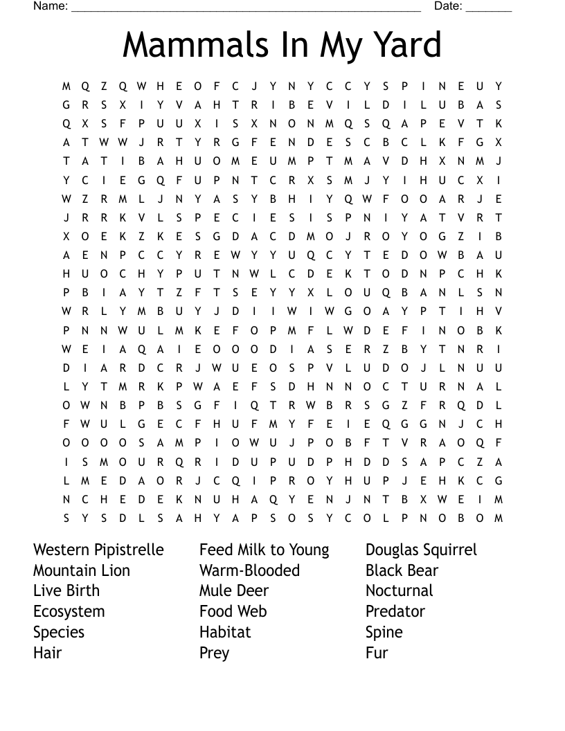 Mammals In My Yard Word Search