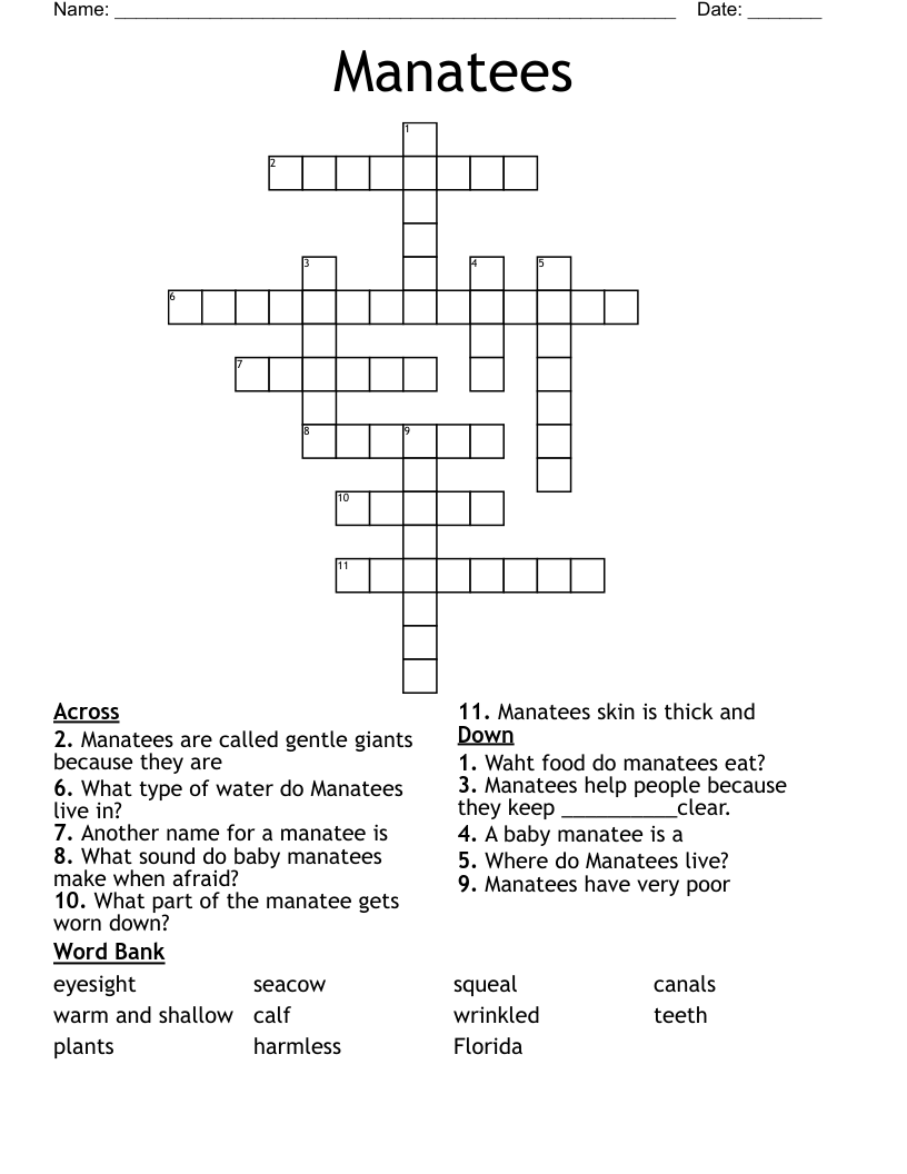 Manatees Crossword
