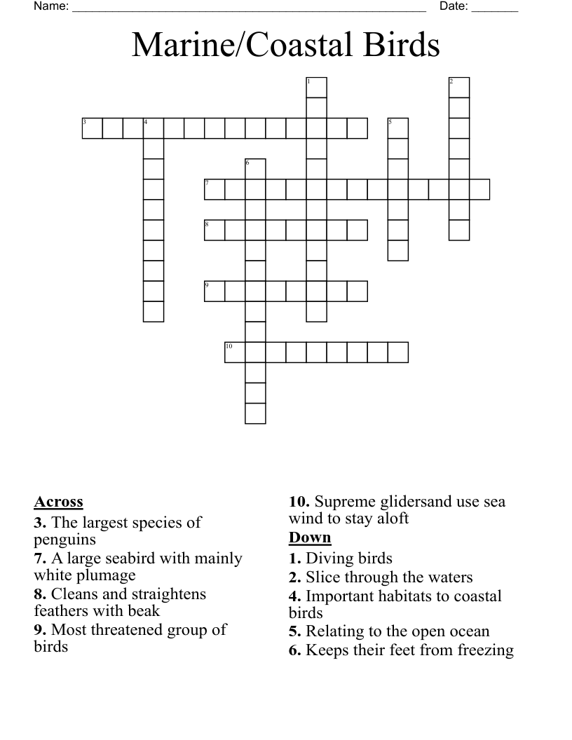 Marine/Coastal Birds Crossword