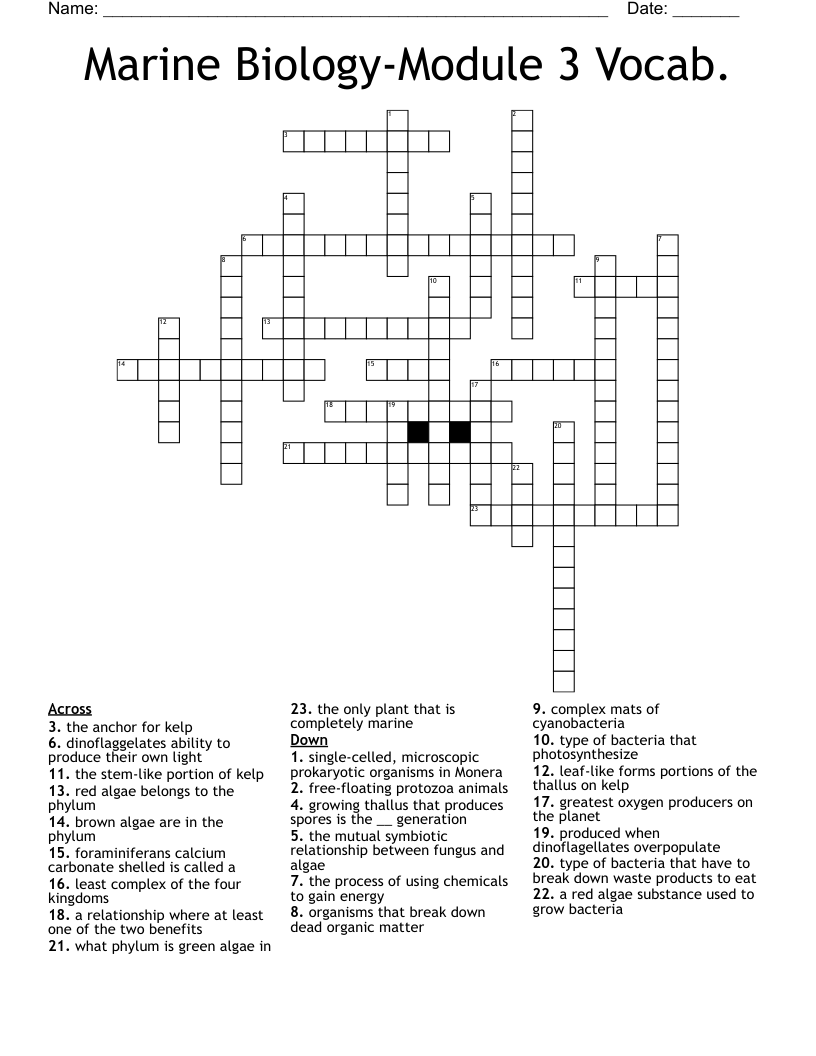 Marine Biology-Module 3 Vocab. Crossword