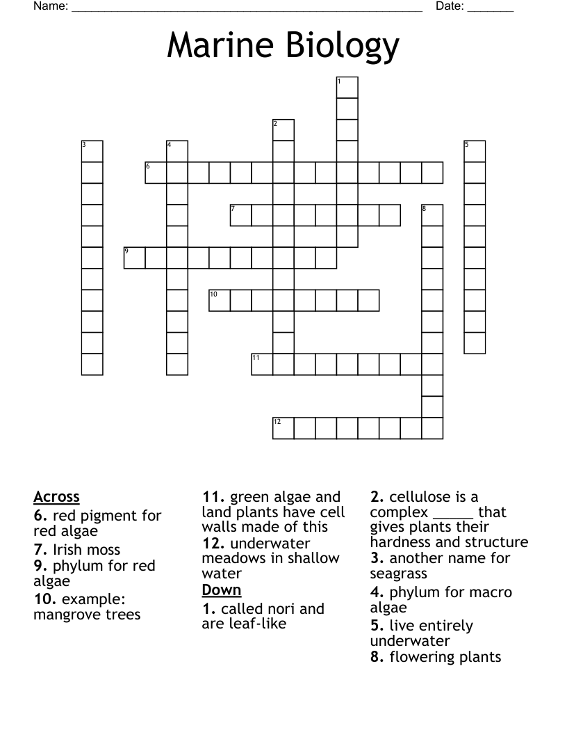 Marine Biology Crossword