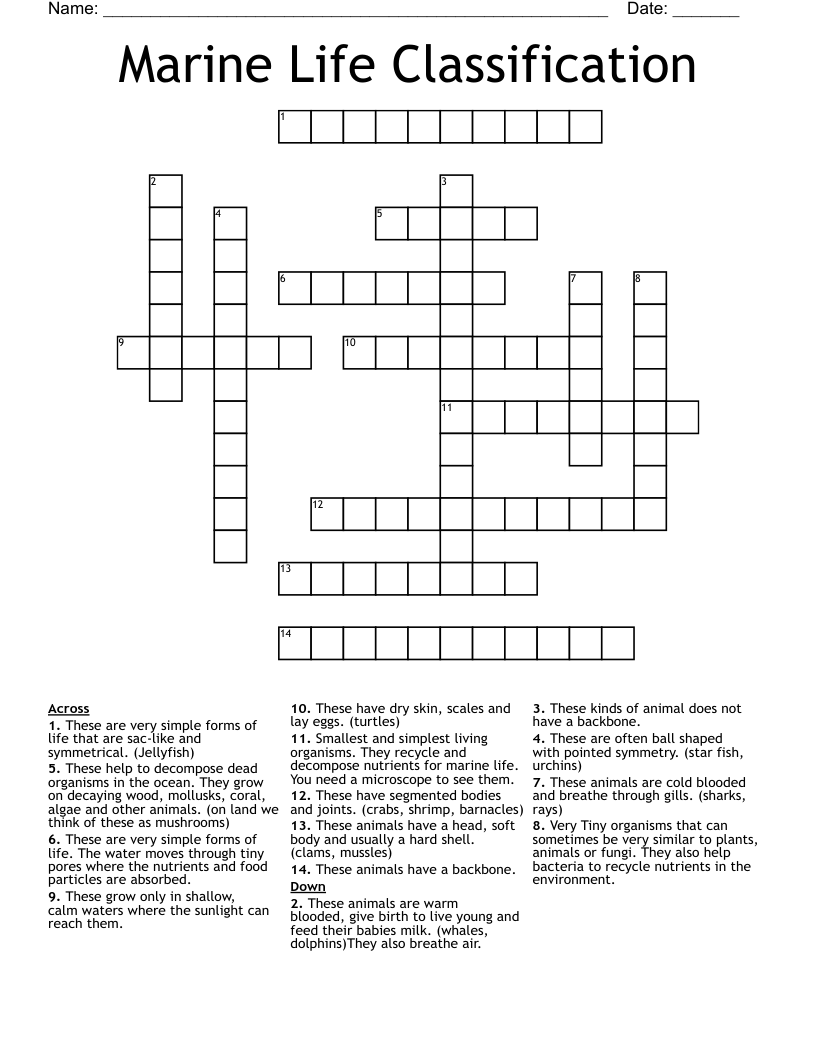 Marine Life Classification Crossword