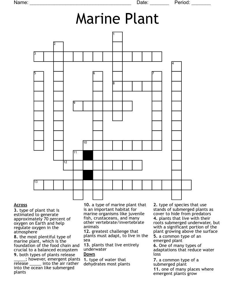 Marine Plant Crossword