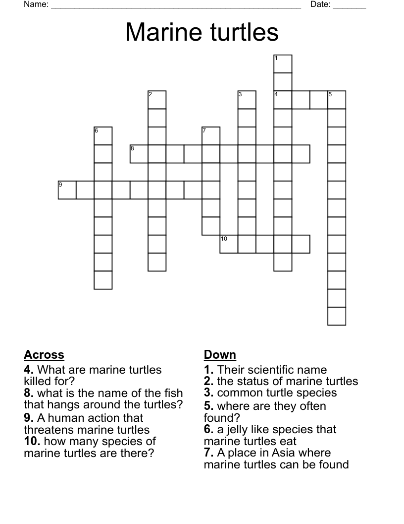 Marine turtles Crossword