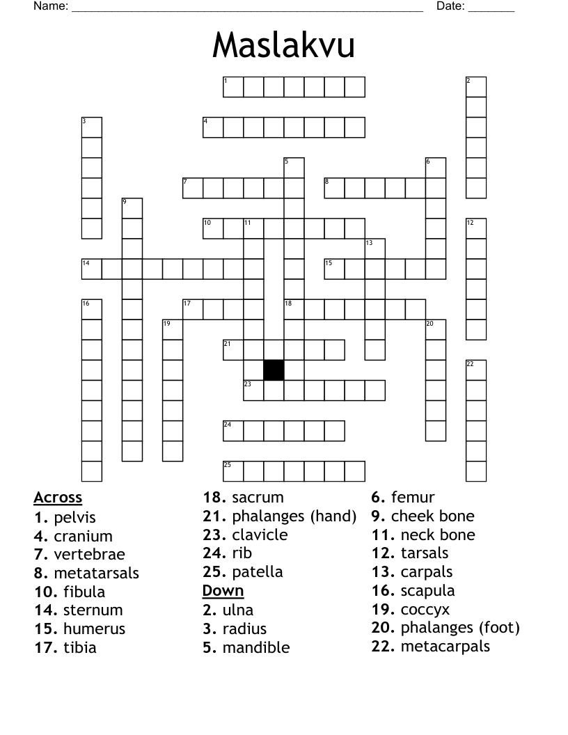 Maslakvu Crossword