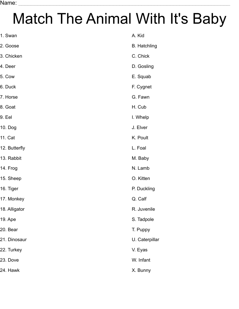 Match The Animal With It's Baby Worksheet