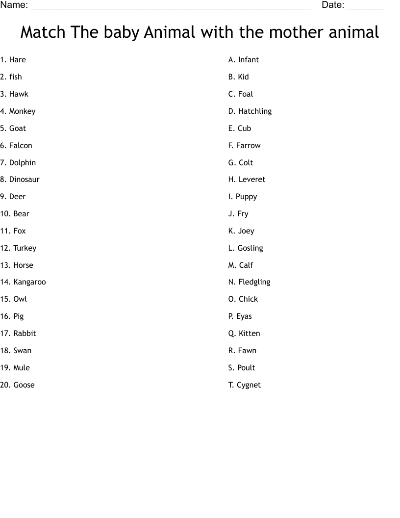 Match The baby Animal with the mother animal Worksheet