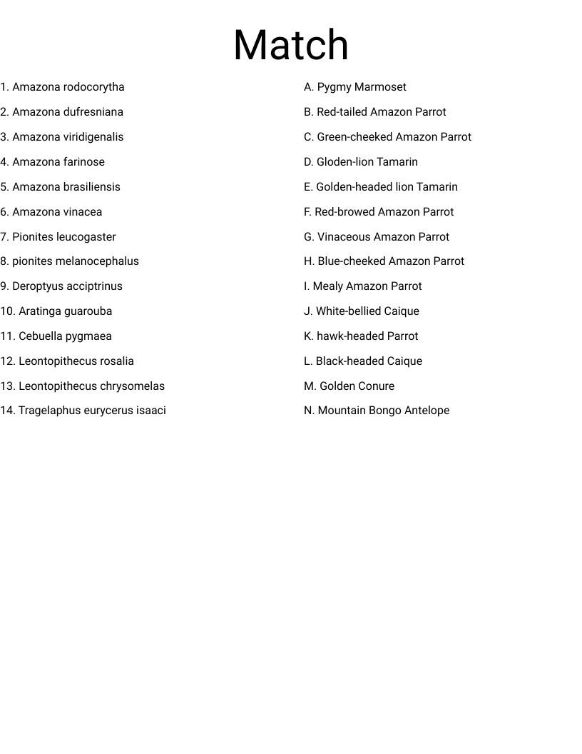 Match  Worksheet
