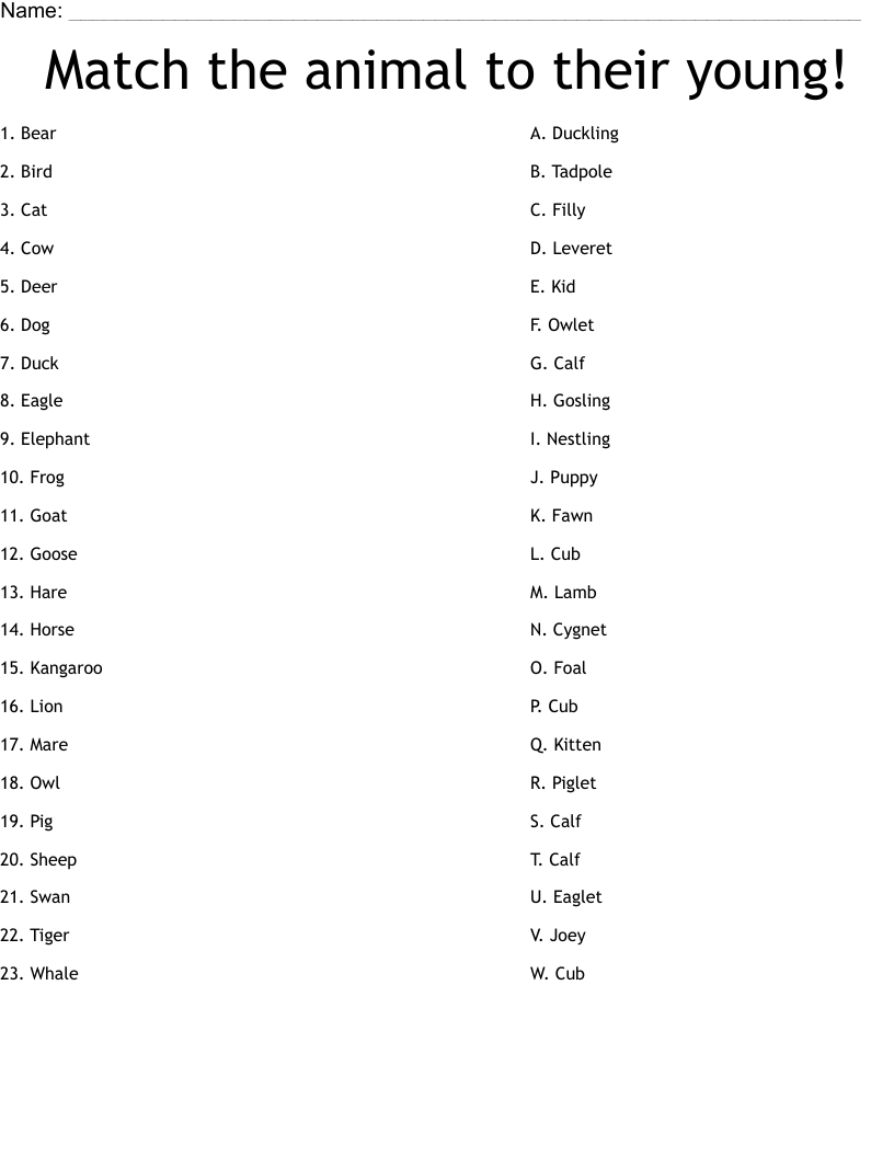 Match the animal to their young! Worksheet