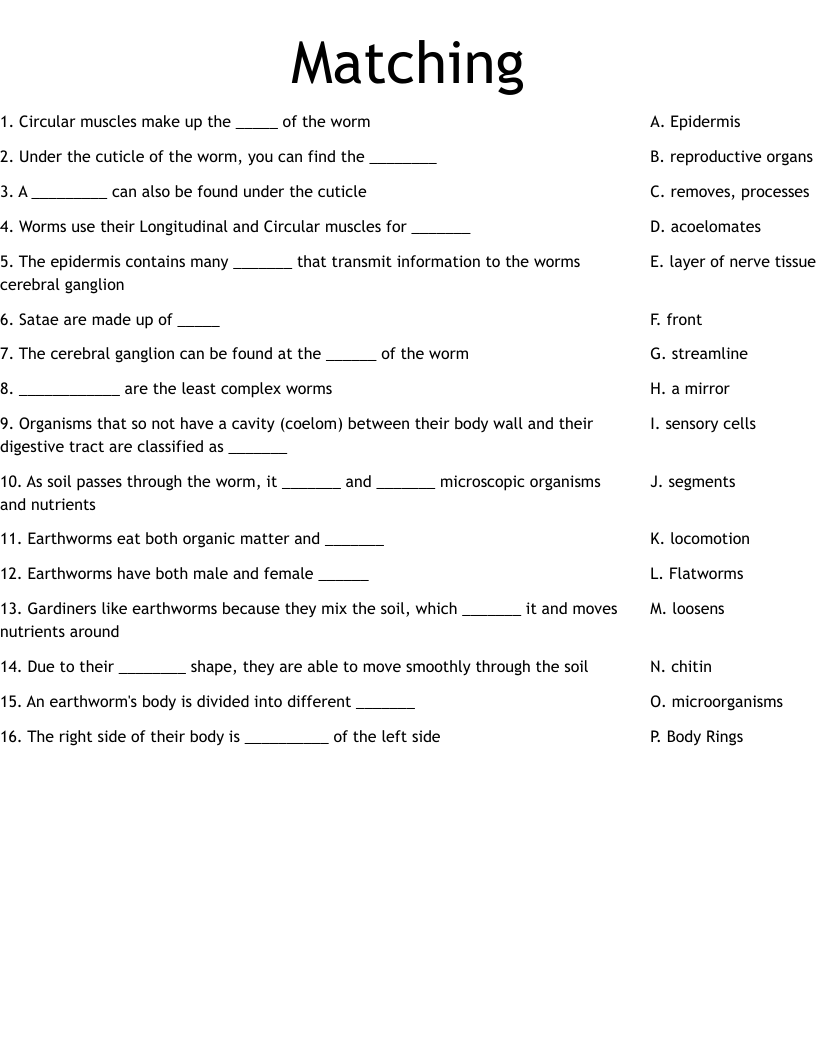 Matching Worksheet