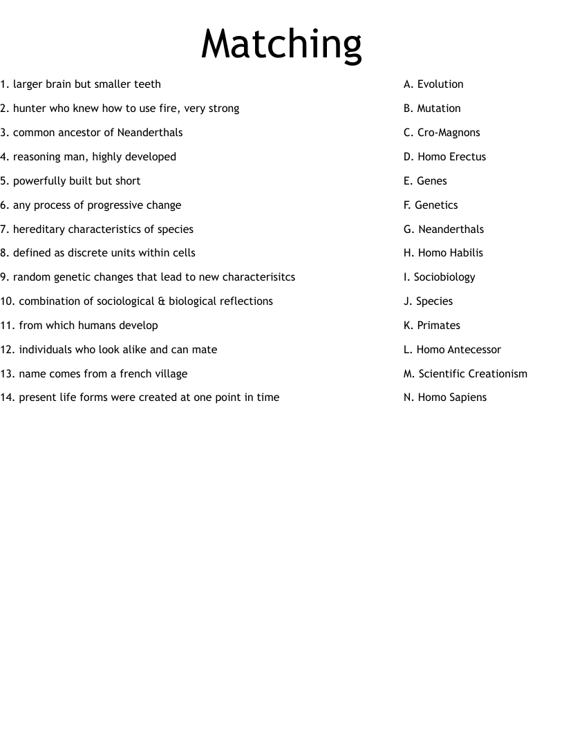 Matching Worksheet