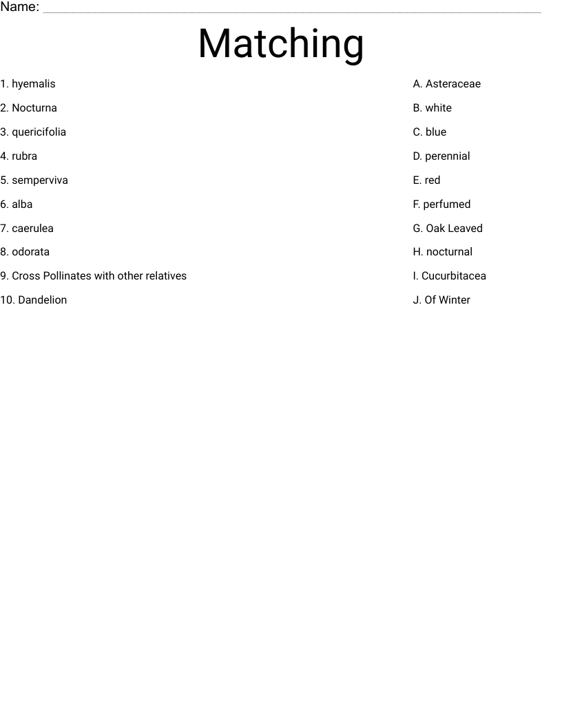 Matching Worksheet
