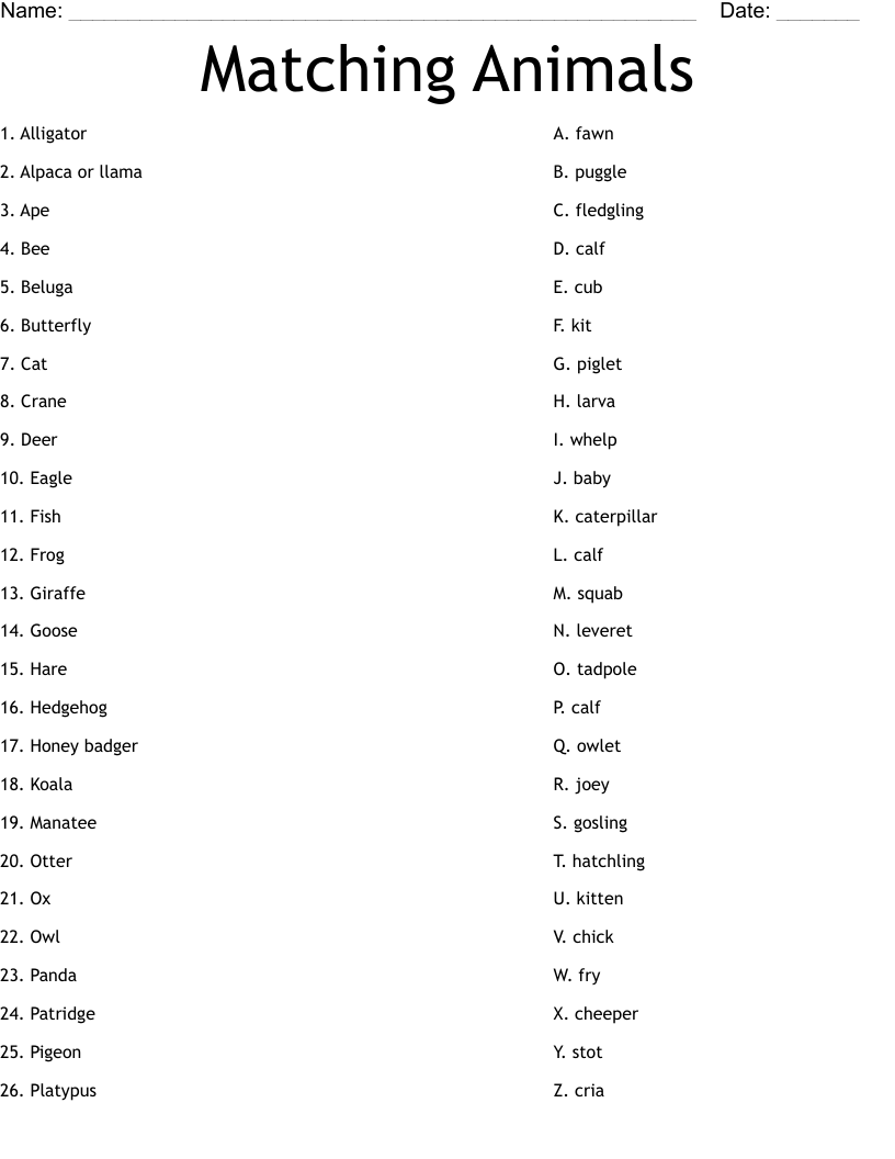 Matching Animals Worksheet