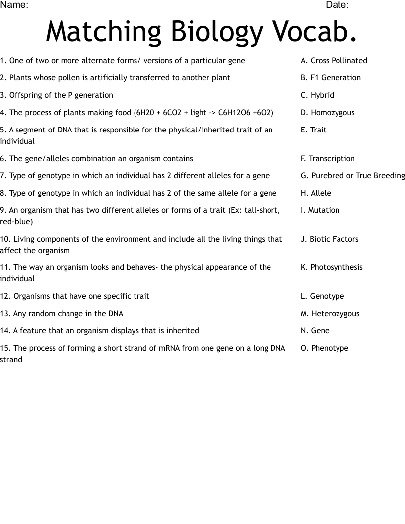 Matching Biology Vocab. Worksheet