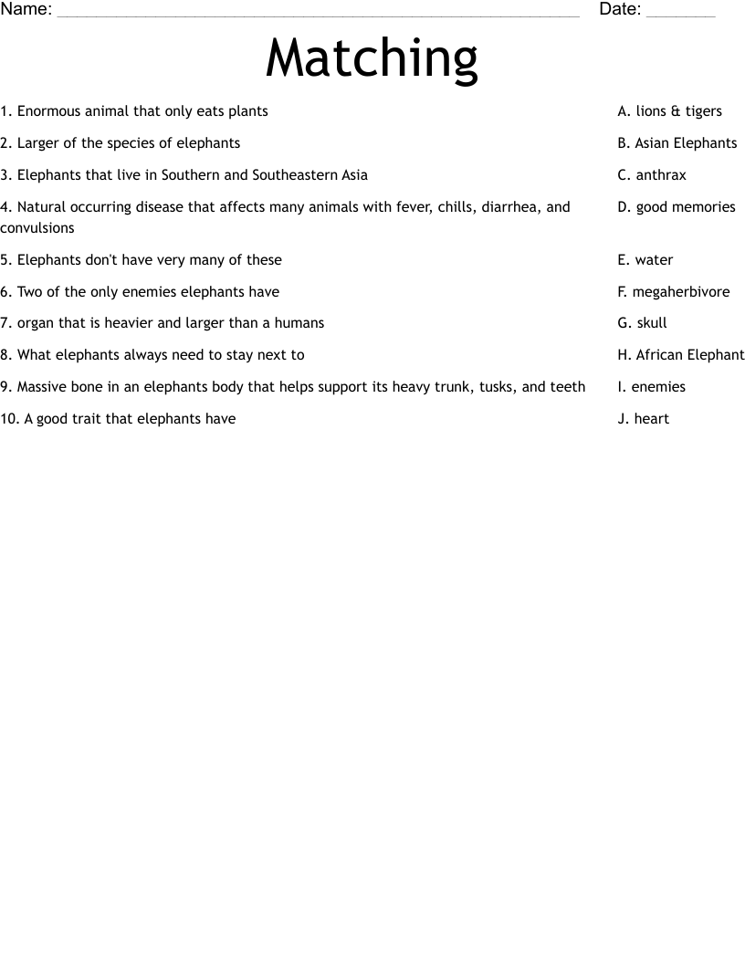Matching  Worksheet