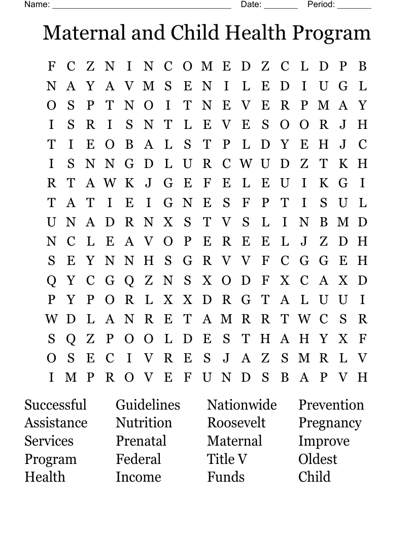 Maternal and Child Health Program Word Search
