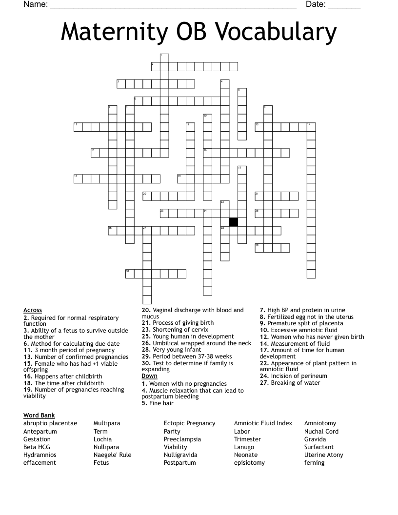 Maternity OB Vocabulary Crossword