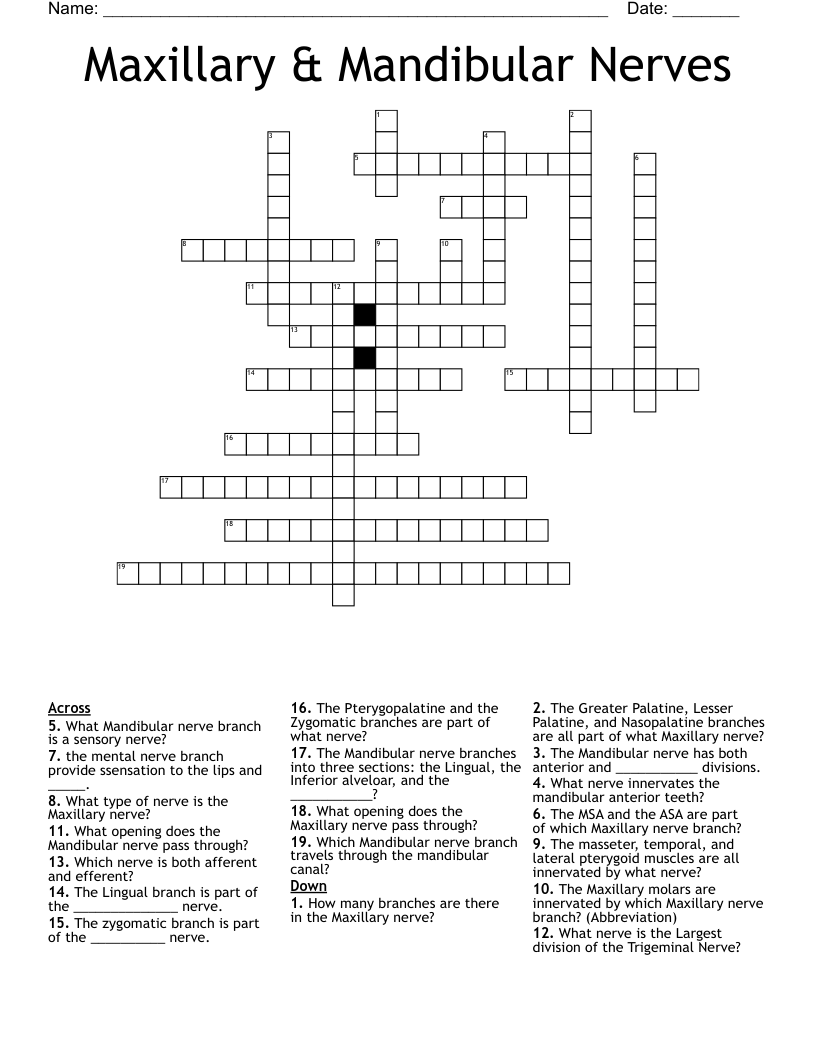 Maxillary & Mandibular Nerves Crossword