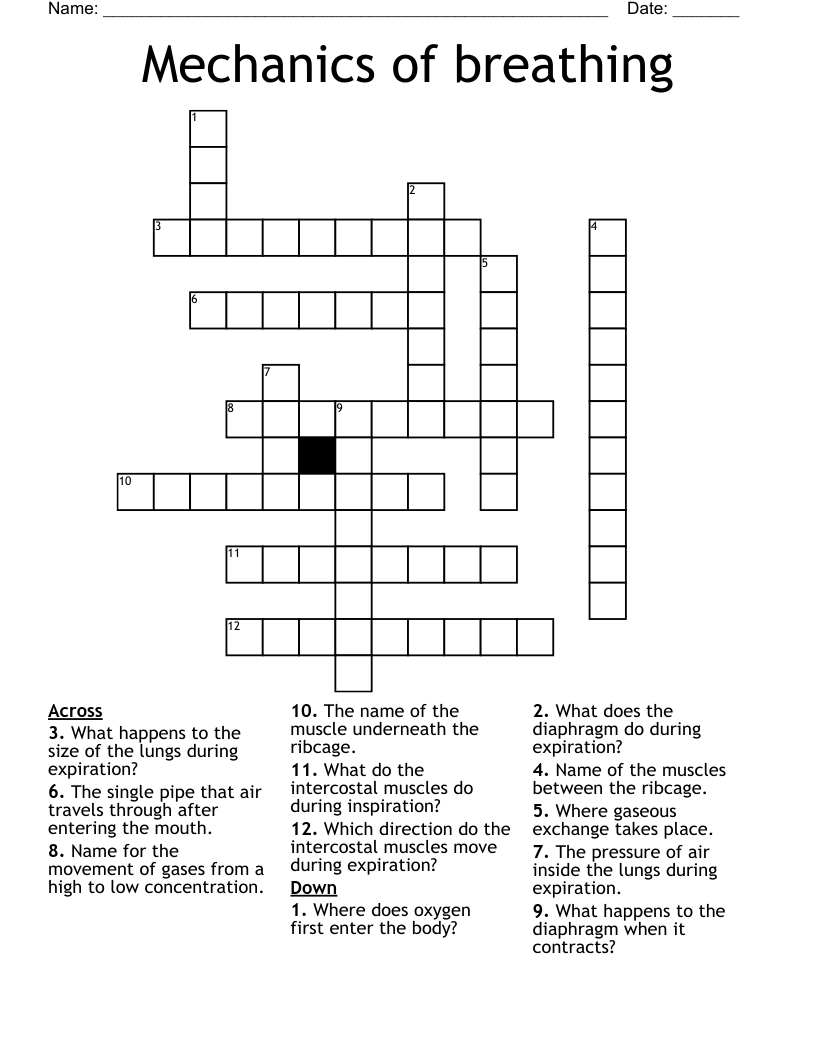 Mechanics of breathing Crossword