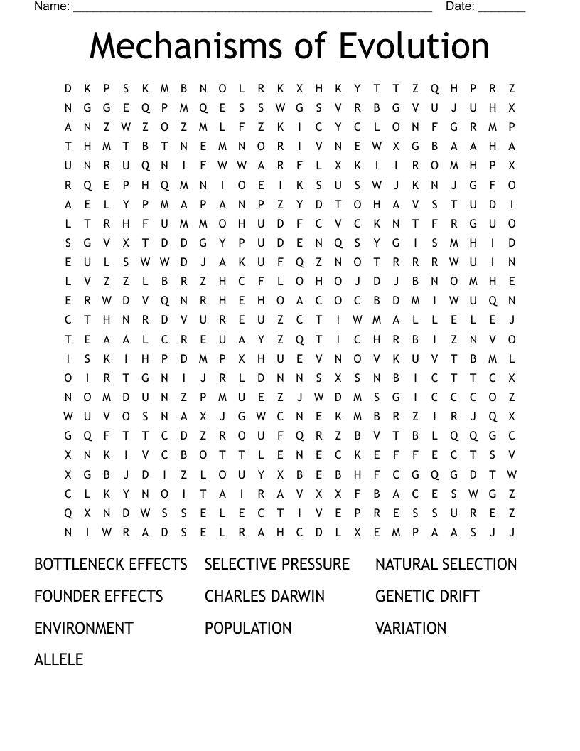 Mechanisms of Evolution Word Search