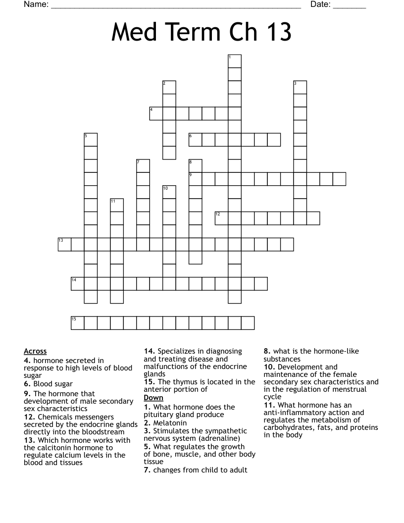 Med Term Ch 13 Crossword