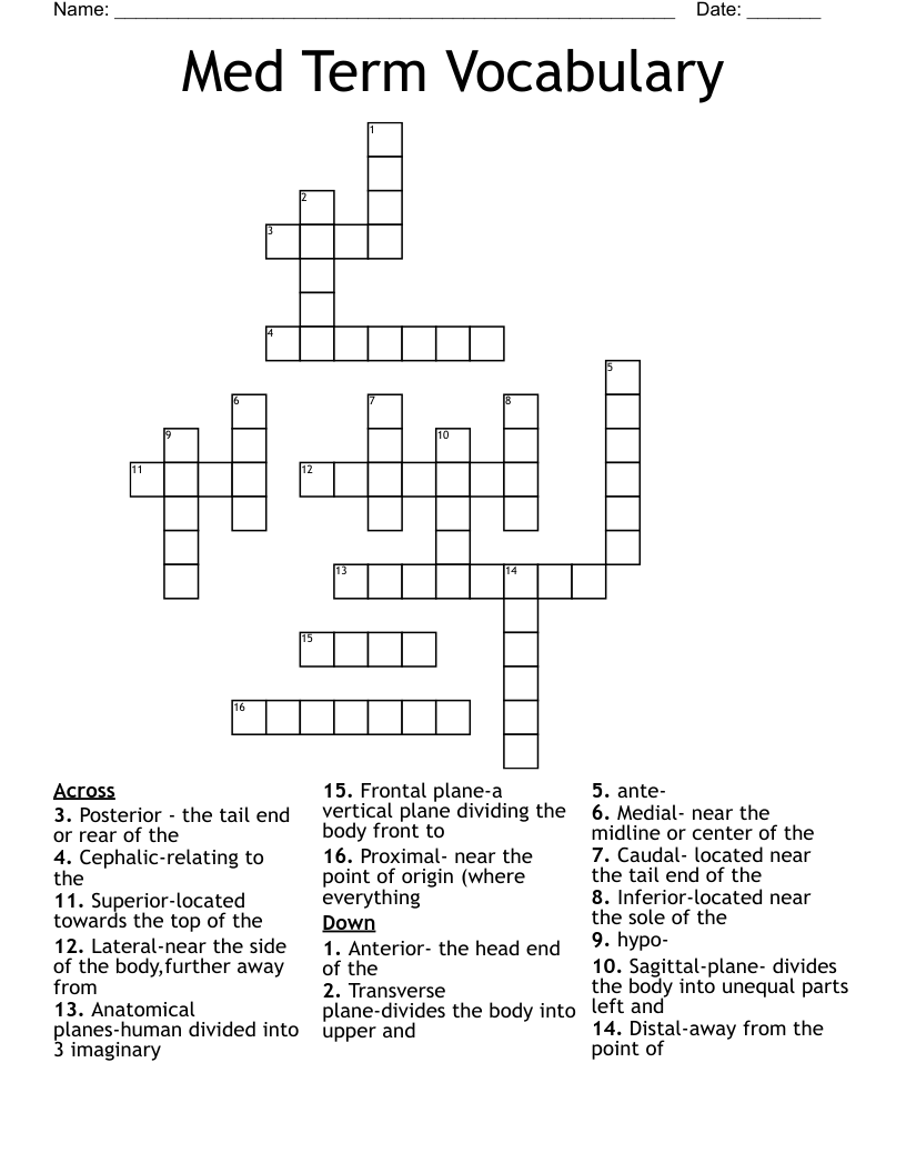 Med Term Vocabulary Crossword