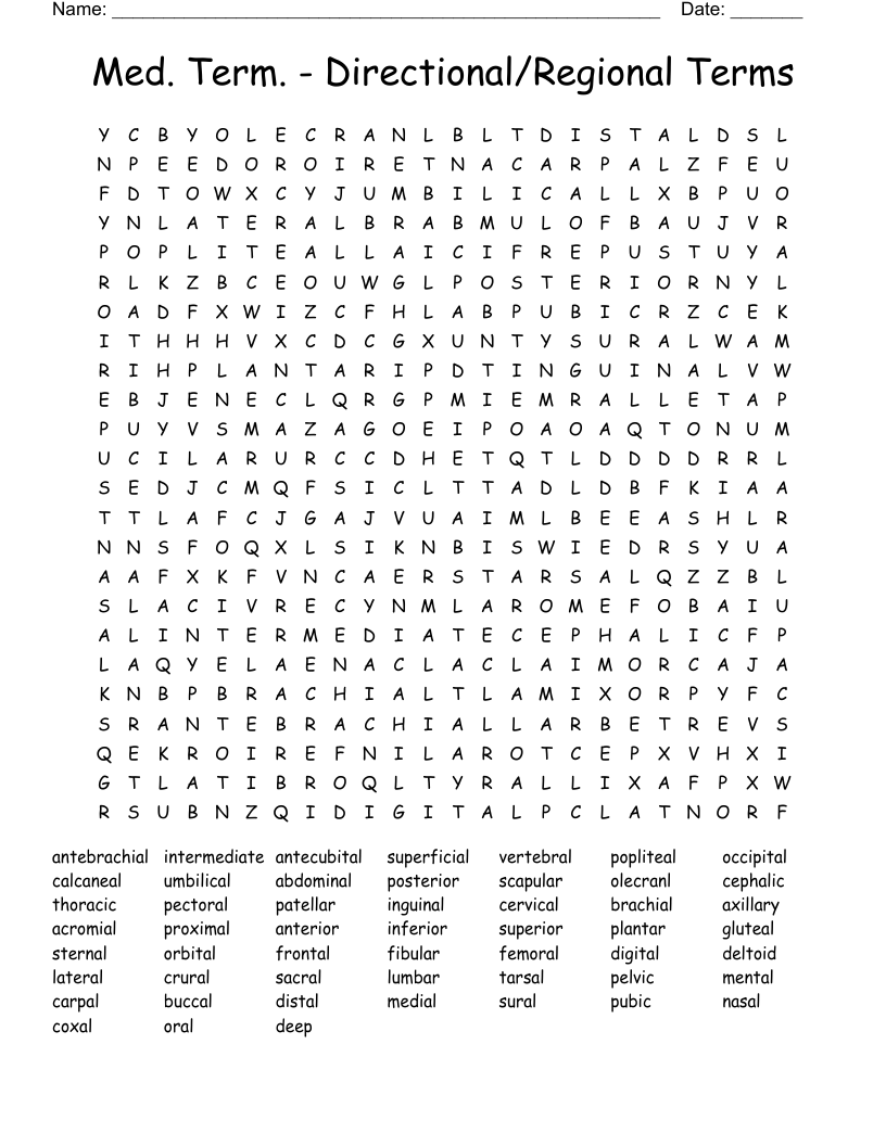 Med. Term. - Directional/Regional Terms Word Search