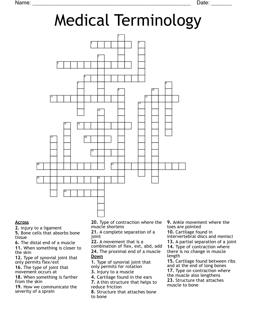 Medical Terminology Crossword