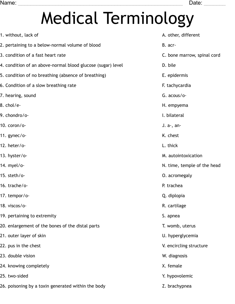 Medical Terminology Worksheet