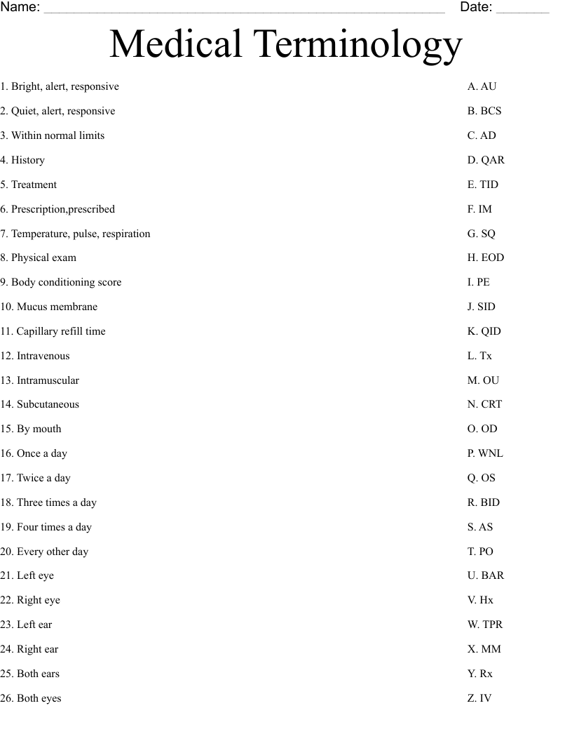 Medical Terminology Worksheet