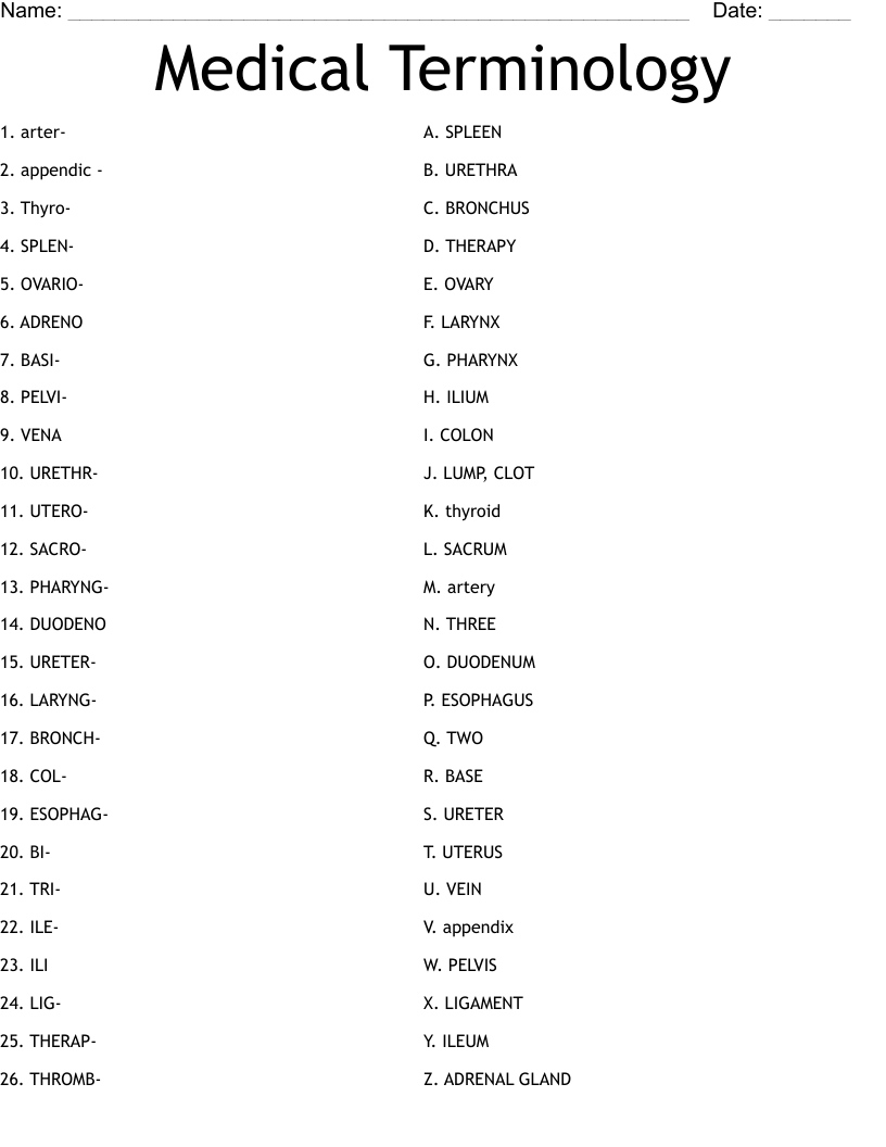Medical Terminology Worksheet