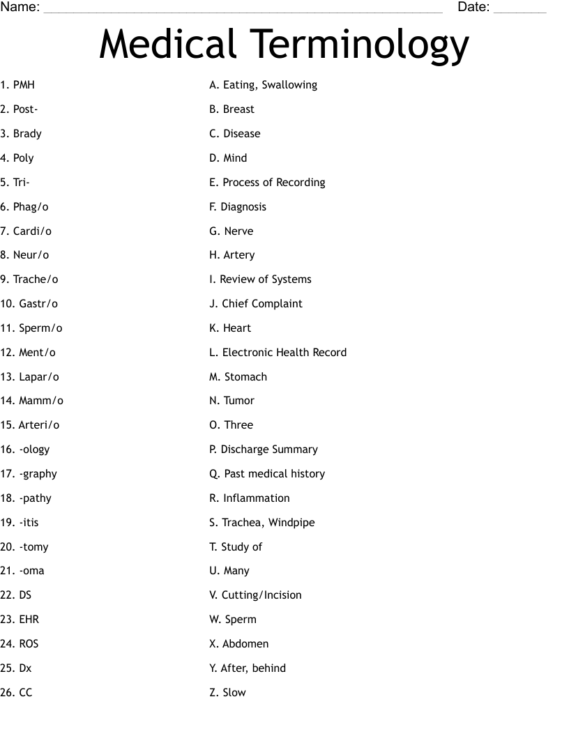 Medical Terminology Worksheet