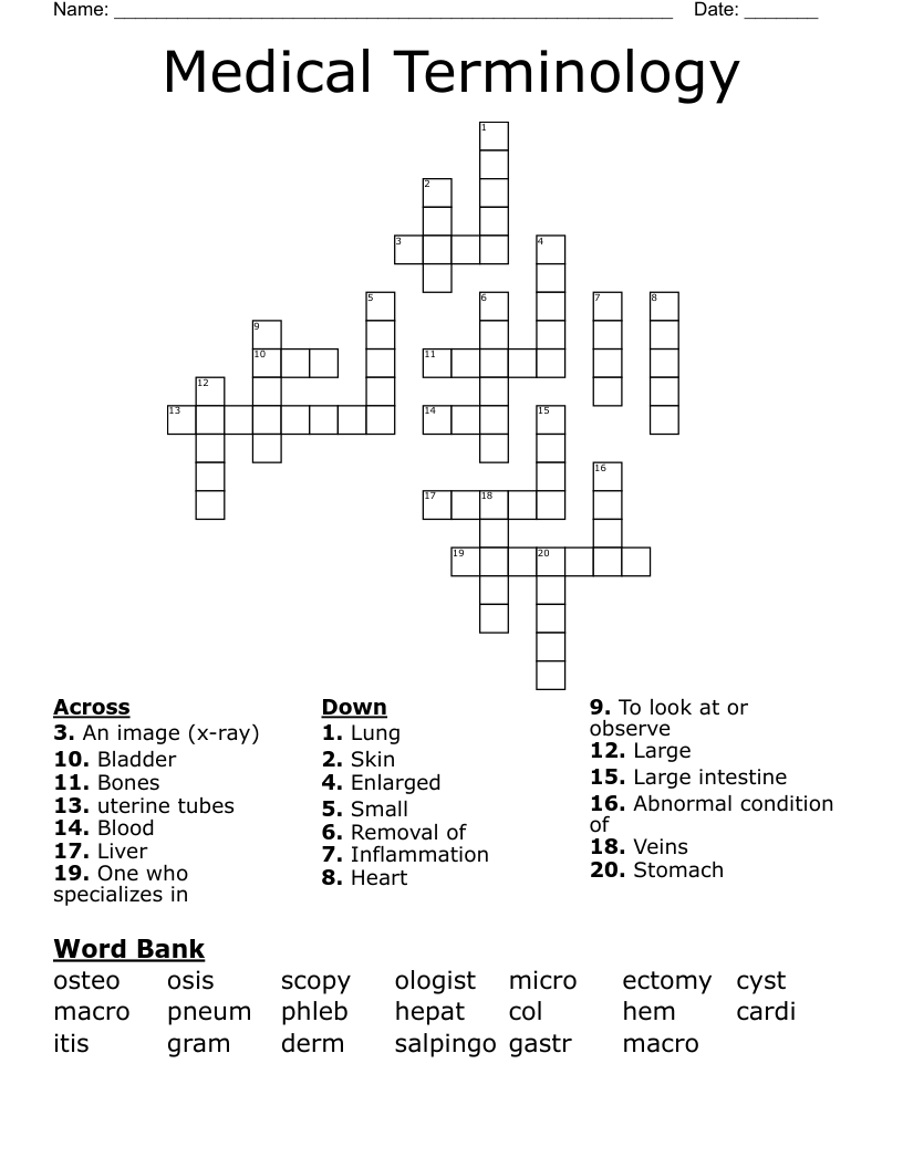 Medical Terminology Crossword