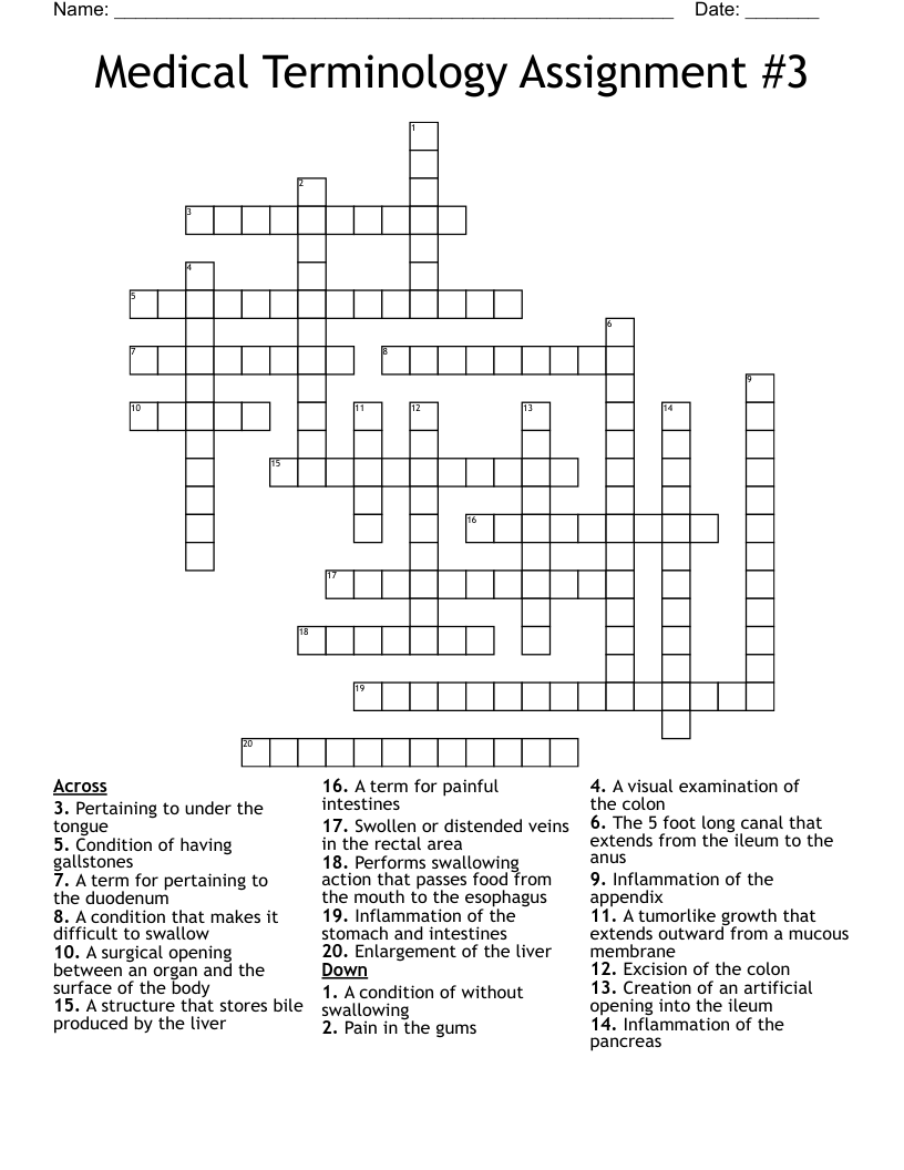 Medical Terminology Assignment #3 Crossword