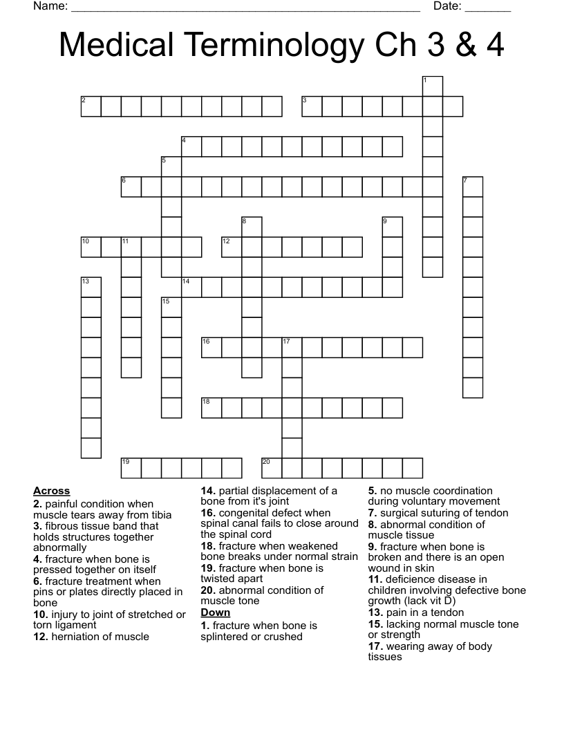 Medical Terminology Ch 3 & 4 Crossword