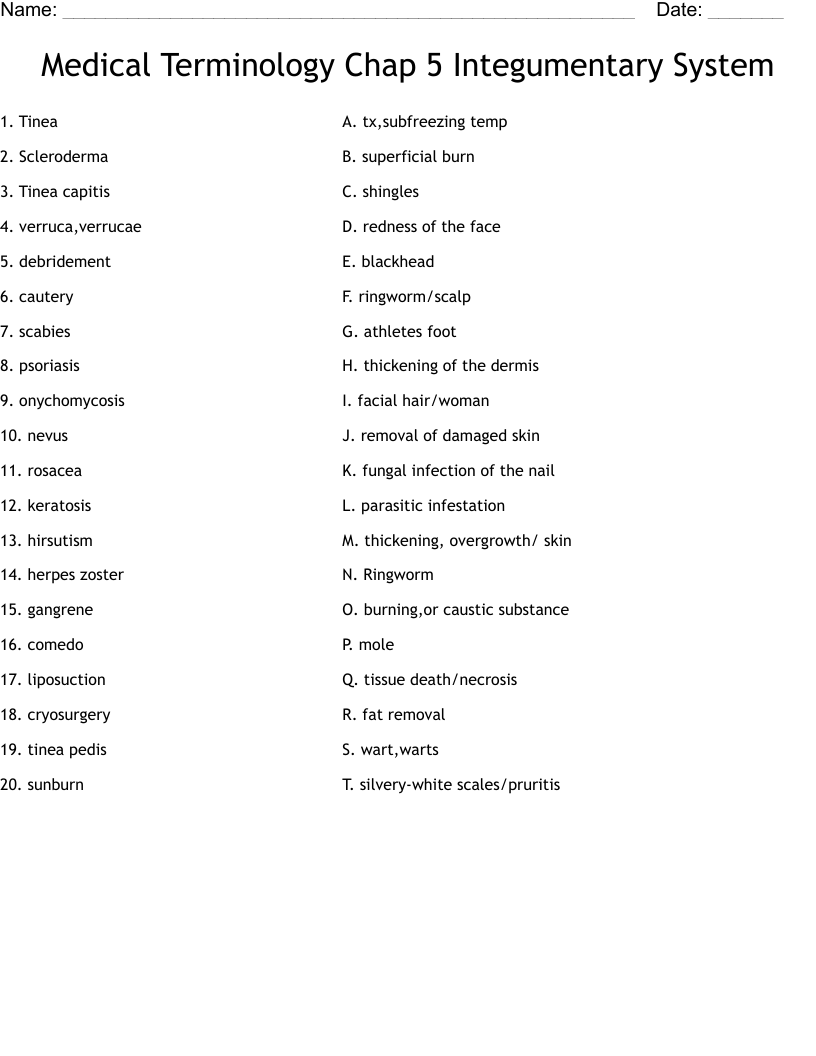 Medical Terminology Chap 5 Integumentary System Worksheet