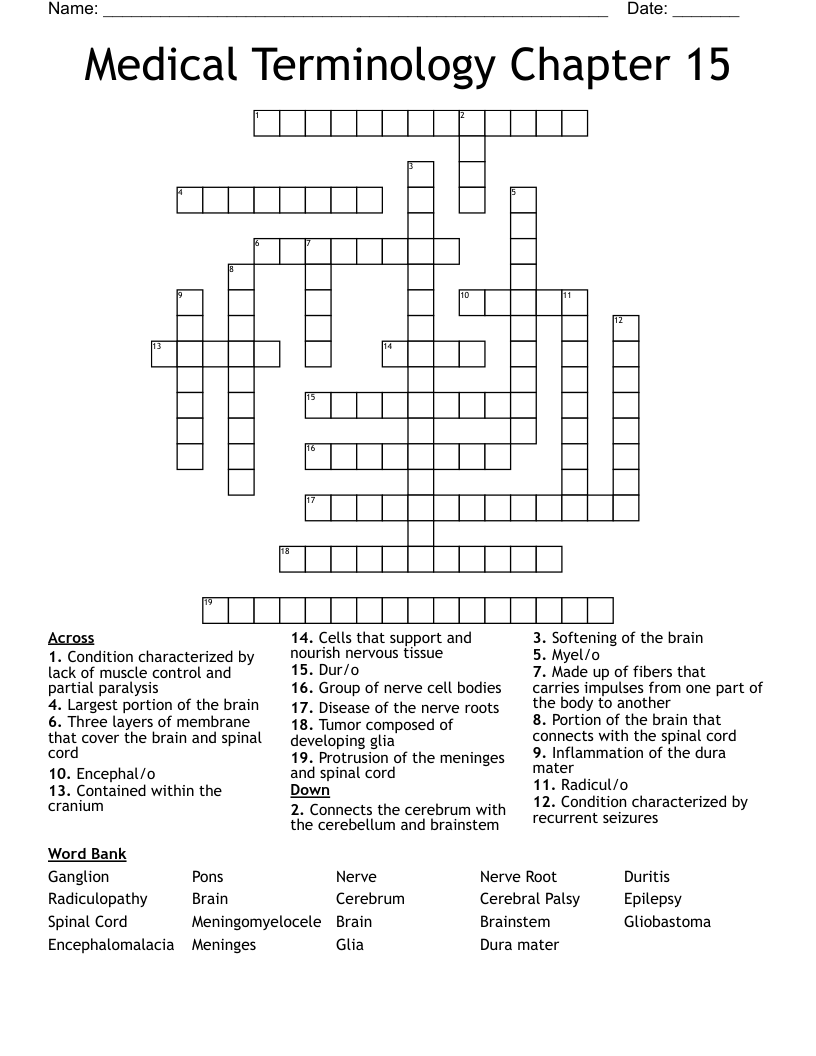 Medical Terminology Chapter 15 Crossword