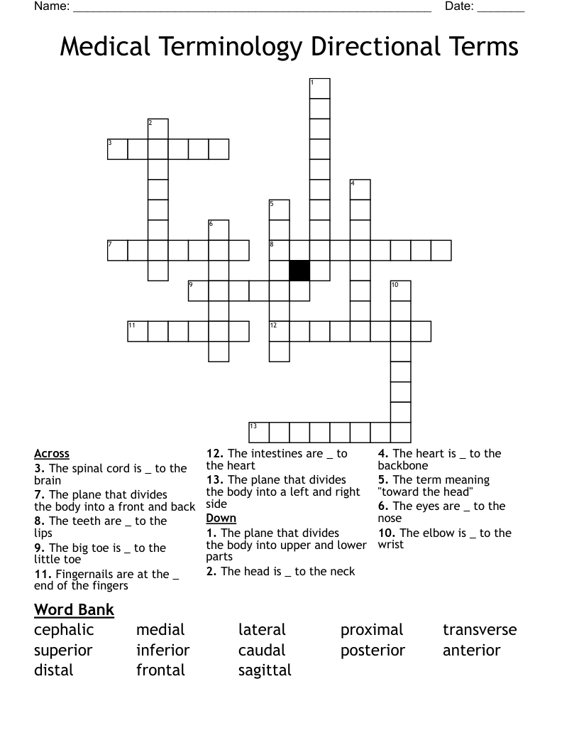 Medical Terminology Directional Terms Crossword